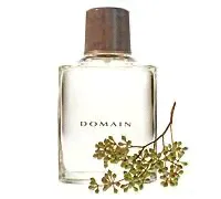 Туалетная вода Domain® от Mary Kay