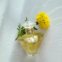 Mary Kay Вода парфюмерная Journey 50 мл
